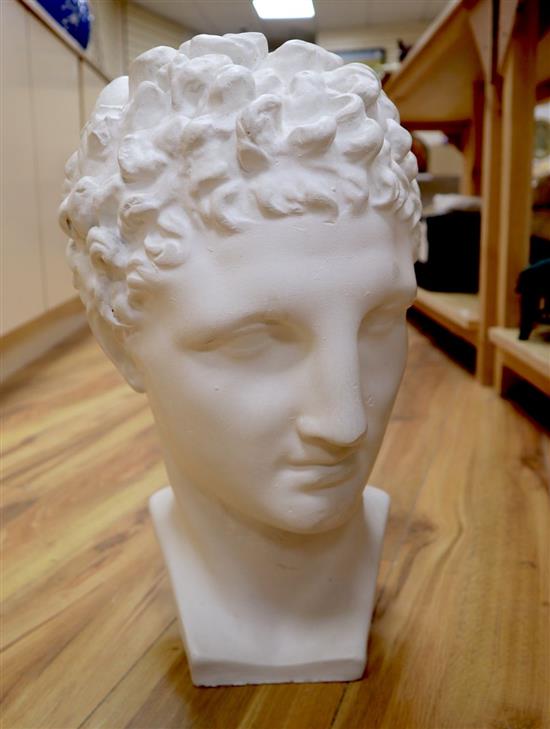 A white plaster portrait bust of a Roman gentleman, height 43cm